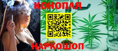 твердый Бердск
