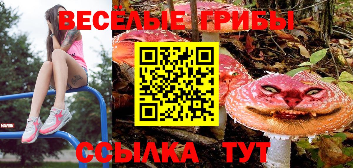 Псилоцибиновые грибы Psilocybine cubensis Сосновоборск